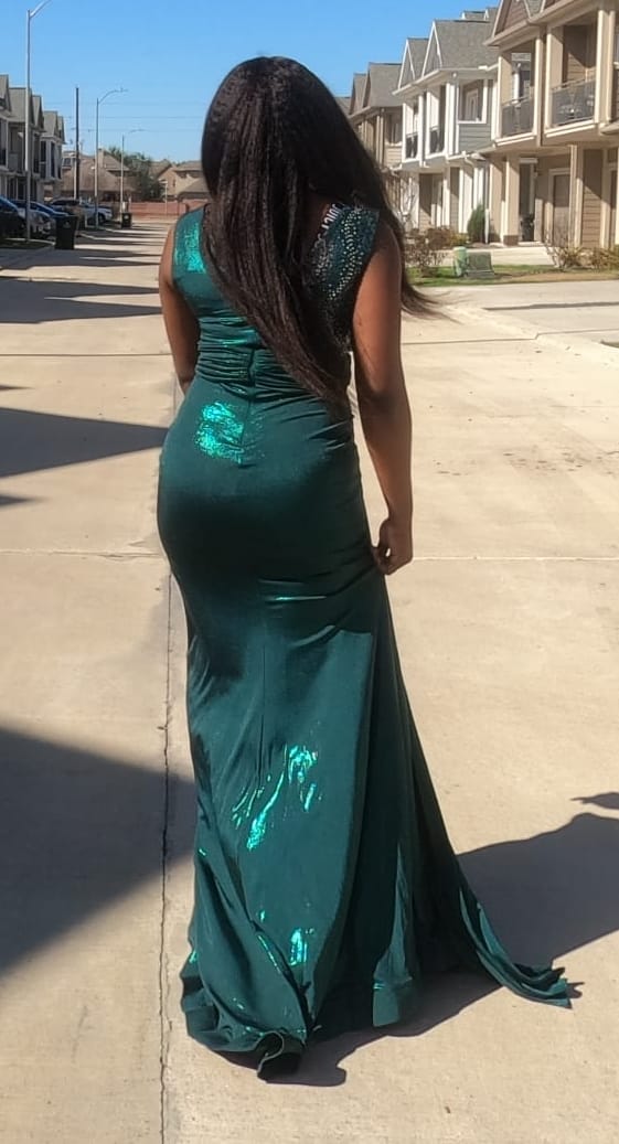 Sleek Dream Gown